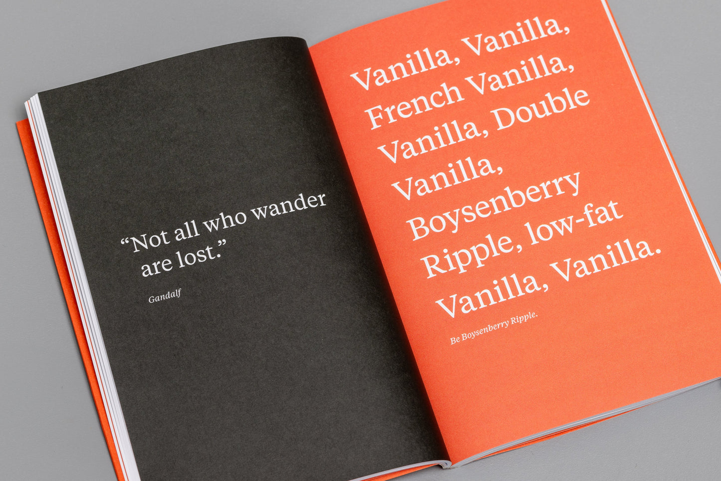 A Word in Your Ear. A Field Guide for Virgin Directors
