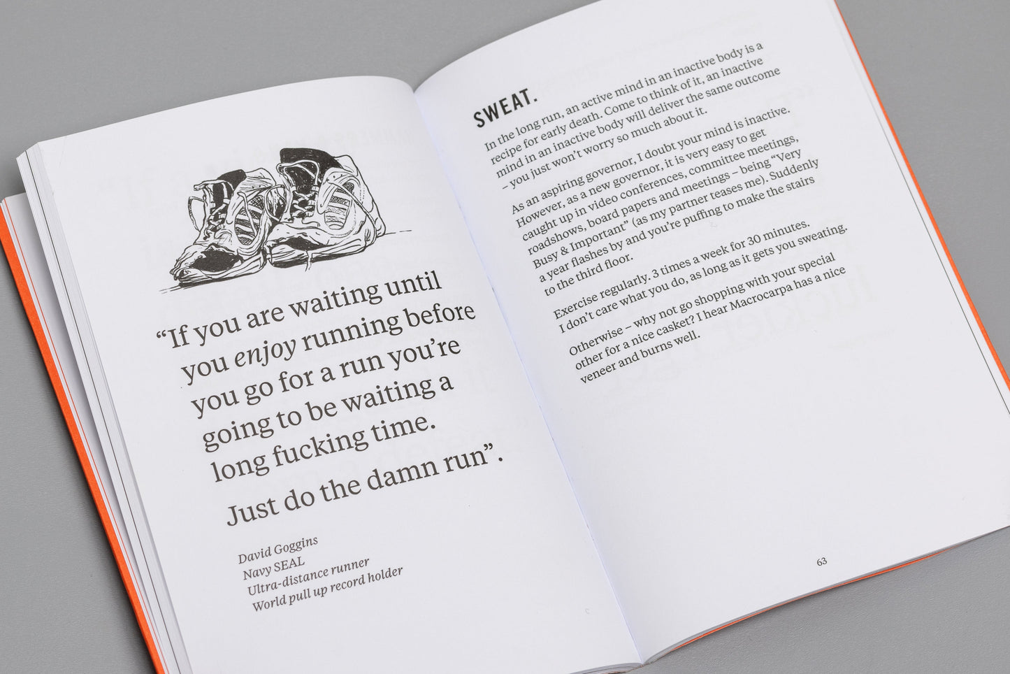 A Word in Your Ear. A Field Guide for Virgin Directors